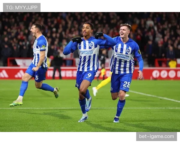 路易斯·邓克：英超防守核心助布莱顿持续提升竞争力